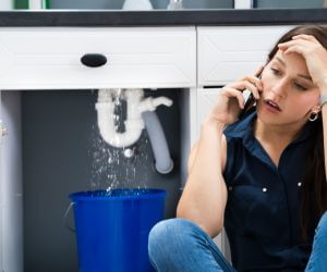 About Plumbers Pros West Augusta, VA